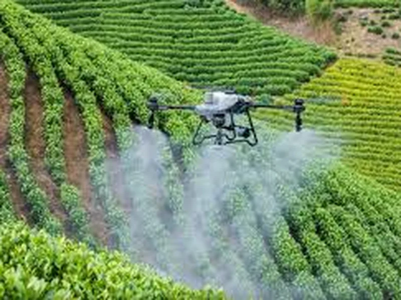 Phát triển nông nghiệp công nghệ cao: Động lực tạo đột phá cho nền nông nghiệp Việt Nam