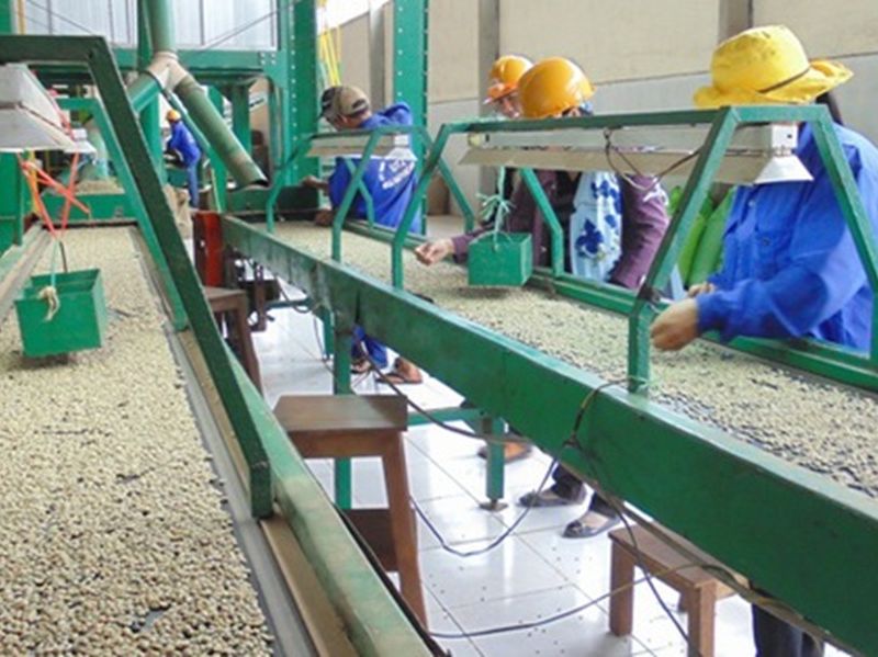 Công nghiệp nông thôn bước vào giai đoạn mới khi Chương trình khuyến công 2026-2030 khởi động