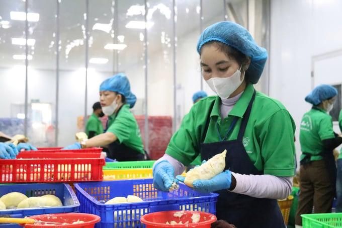 Xu hướng xuất khẩu nông sản chế biến 6 tháng đầu năm: Từ “bán nguyên liệu” sang cuộc đua giá trị gia tăng