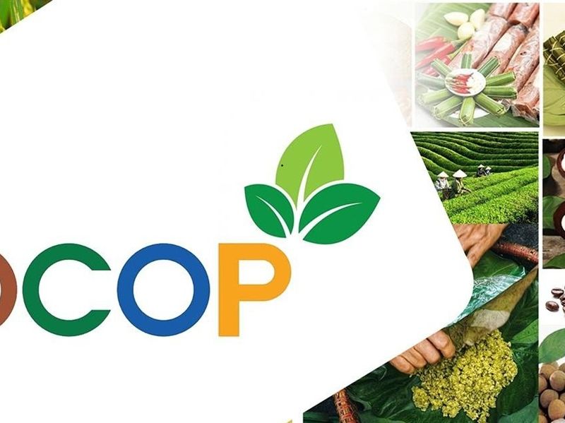 Doanh nghiệp nào đang thực sự “thắng” trong OCOP?