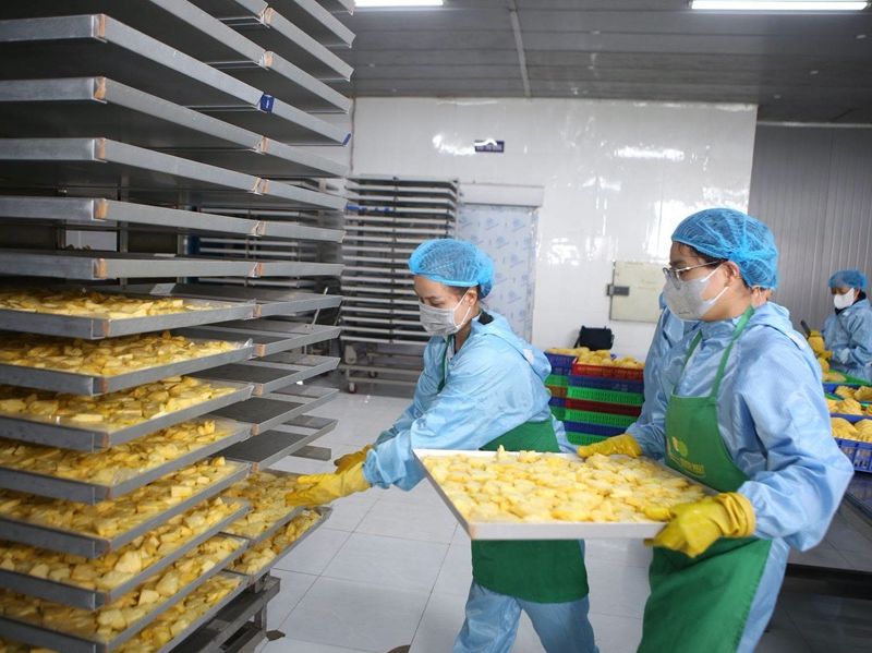 Chế biến nông sản: “nút thắt vàng” của công nghiệp nông thôn Việt Nam