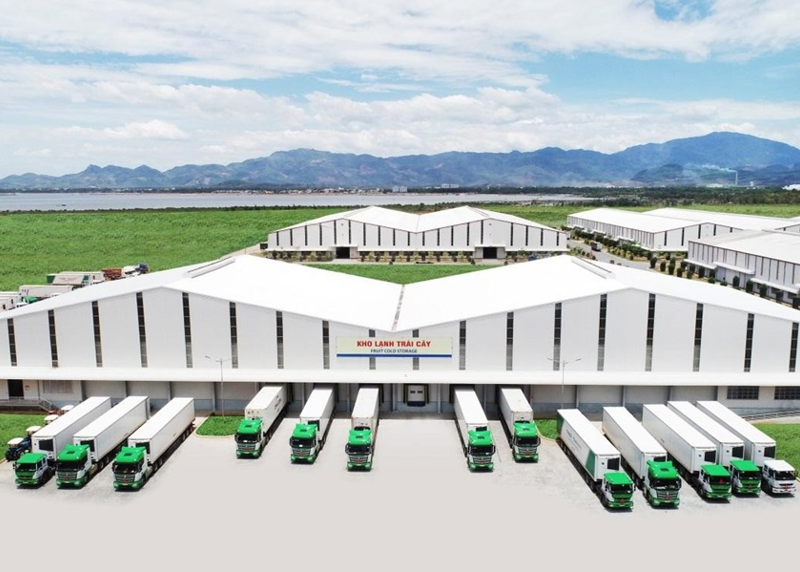 Ai đang điều tiết chuỗi giá trị nông sản Việt Nam? Góc nhìn công nghiệp nông thôn 2026