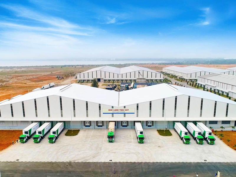 “Câu chuyện lạnh” của nông sản Việt: Từ sau thu hoạch đến siêu thị quốc tế