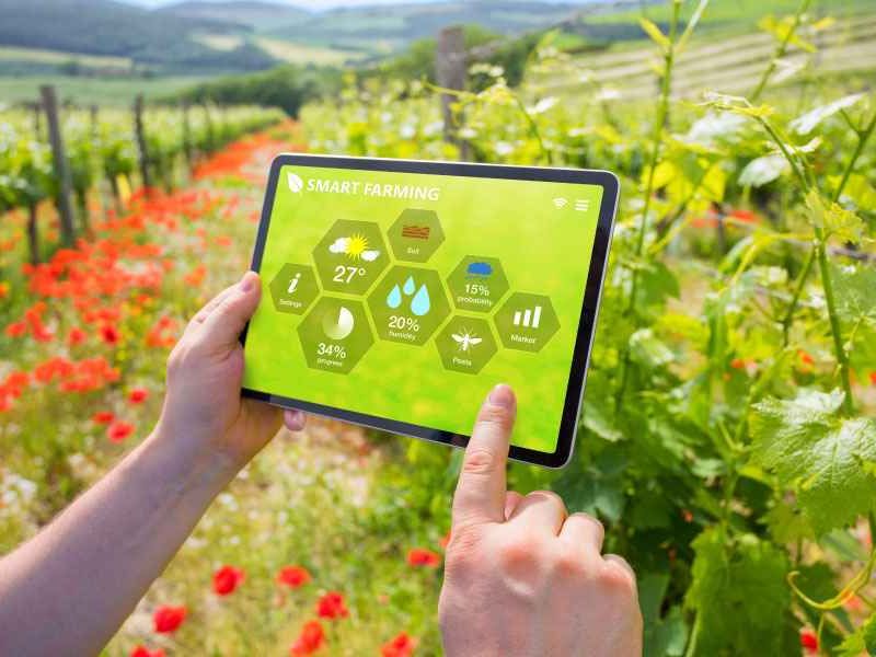 Drone, AI và dữ liệu đang tạo ra những nghề mới trên đồng ruộng