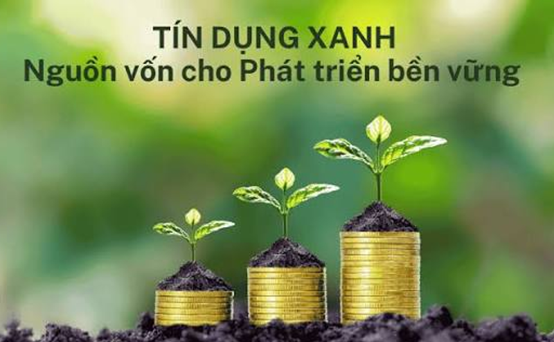 Tín dụng xanh: “Đòn bẩy” chiến lược cho doanh nghiệp công nghiệp nông thôn trong tiến trình tăng trưởng bền vững