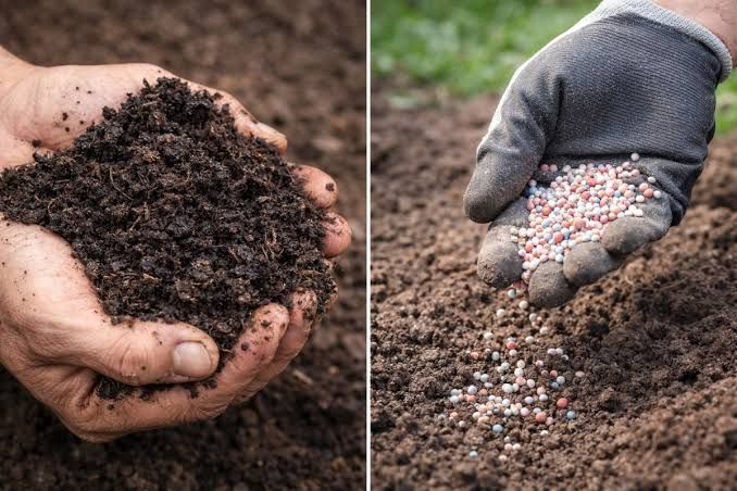 Công nghệ sinh học đang thay đổi ngành phân bón Việt Nam như thế nào?