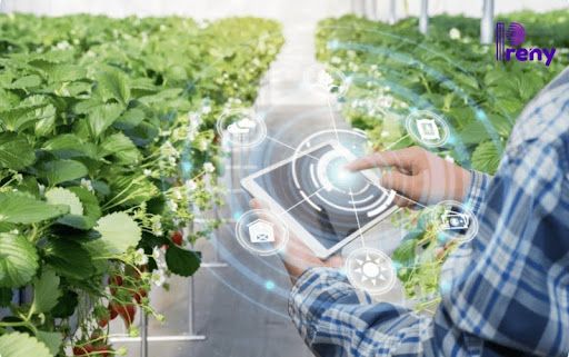 AI trong nông nghiệp: Từ dự báo thời tiết đến quản lý vùng nguyên liệu