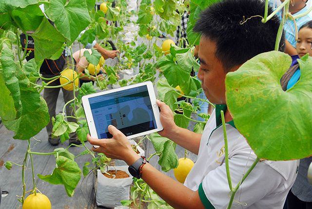 Chuyển đổi số đang giúp hợp tác xã nông nghiệp thay đổi ra sao?