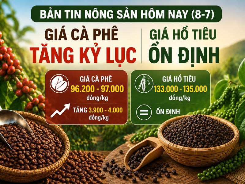 Giá nông sản hôm nay (8-7): Giá cà phê lập đỉnh 4 tháng, hồ tiêu tiếp tục đi ngang