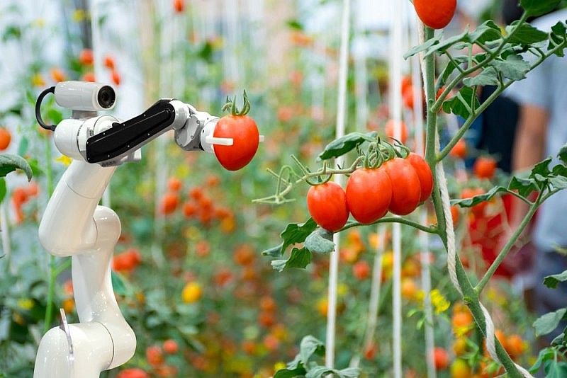 Từ công nghệ chiến lược đến bài toán lớn của nông nghiệp: Cần bắt đầu từ công nghệ lõi