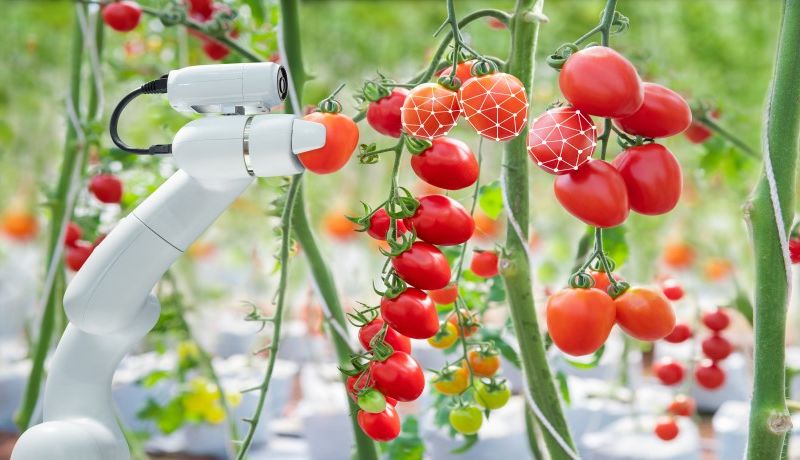 Khu nông nghiệp công nghệ cao được hưởng loạt chính sách ưu đãi mới