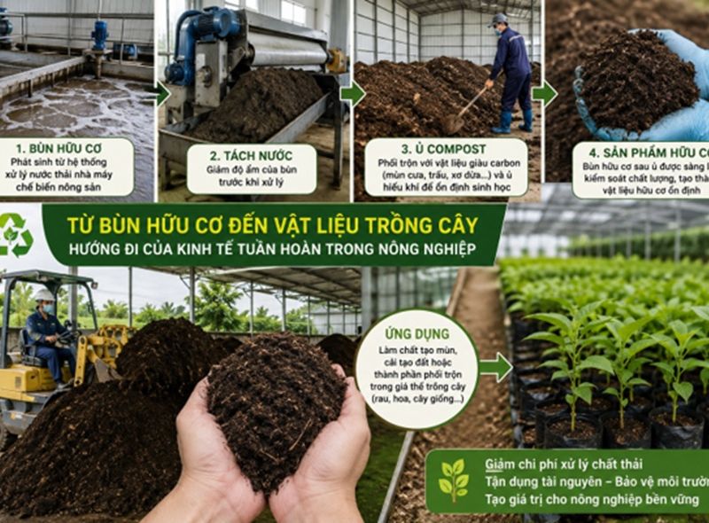Từ bùn hữu cơ đến vật liệu trồng cây: Hướng đi mới của kinh tế tuần hoàn nông sản