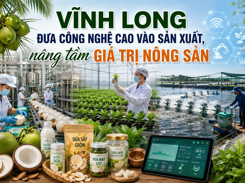 Vĩnh Long đưa công nghệ cao vào sản xuất, nâng tầm giá trị nông sản