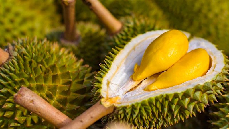 Giá sầu riêng hôm nay 17/8: Sầu Thái loại A tăng tại Gia La