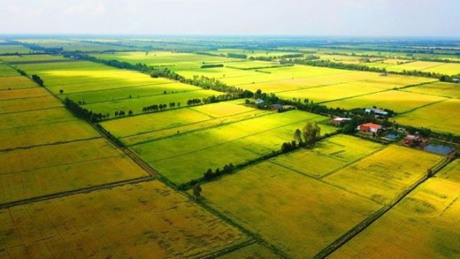 Khai thác hiệu quả quỹ đất nông nghiệp: Biến tiềm năng thành động lực phát triển bền vững
