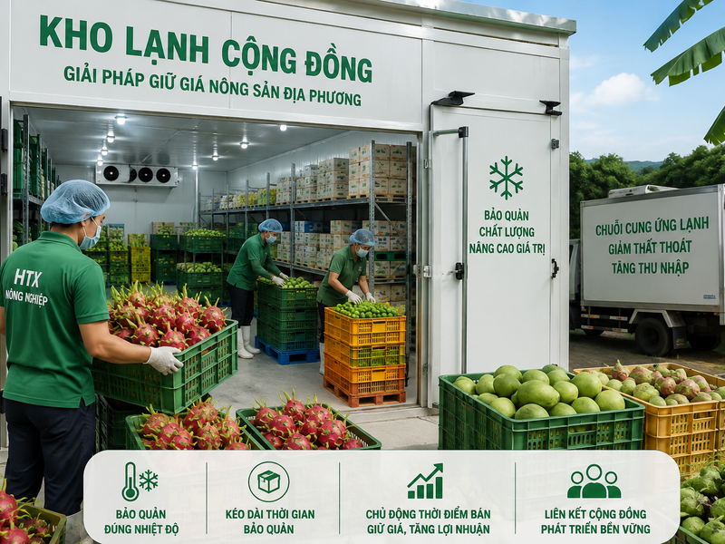 Kho lạnh cộng đồng: “Vũ khí giữ giá” mới của nông sản địa phương