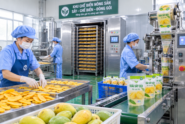 Xưởng chế biến “3 trong 1” đang xuất hiện ở nông thôn