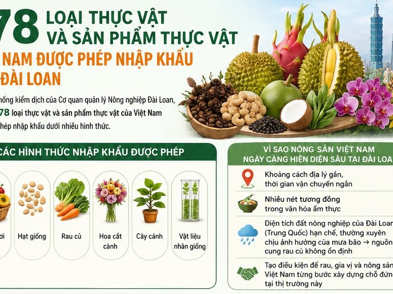 [Infographic] 178 loại thực vật và sản phẩm thực vật Việt Nam được phép nhập khẩu vào Đài Loan