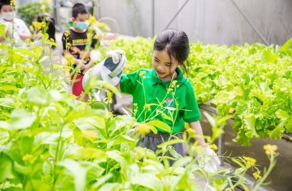 Vườn trường sinh thái: Từ luống rau nhỏ đến lớp học xanh, bữa ăn lành