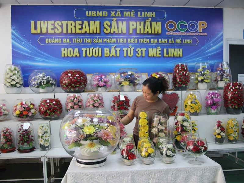 Hoa khô Mê Linh – hành trình lưu giữ vẻ đẹp của những mùa hoa