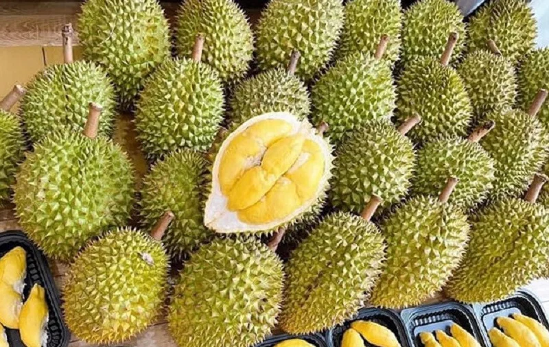 Giá sầu riêng hôm nay 16/9: Hàng tuyển chạm 105.000 đồng/kg, giá tăng 20–30%