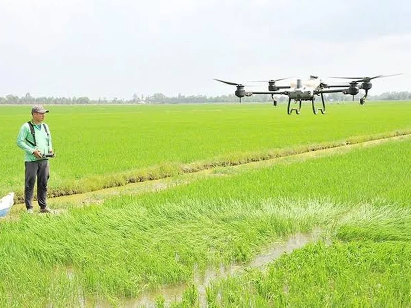 Kinh tế tập thể Đồng Tháp: Từ liên kết sản xuất đến nâng cao giá trị nông sản