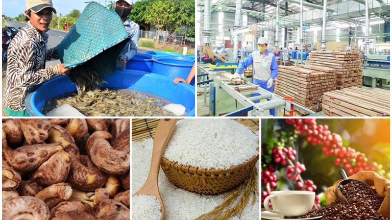 Xuất khẩu nông, lâm, thủy sản đạt 56,3 tỷ USD sau 9 tháng, còn gần 18 tỷ USD mục tiêu