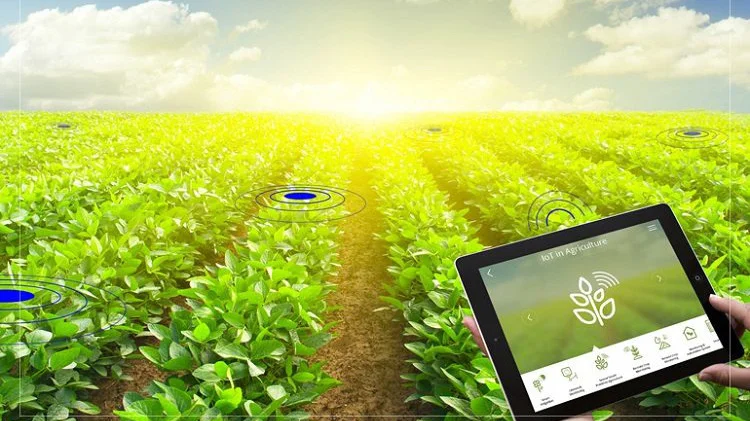 Số hóa mở đường cho nông sản Việt chinh phục thị trường giá trị cao