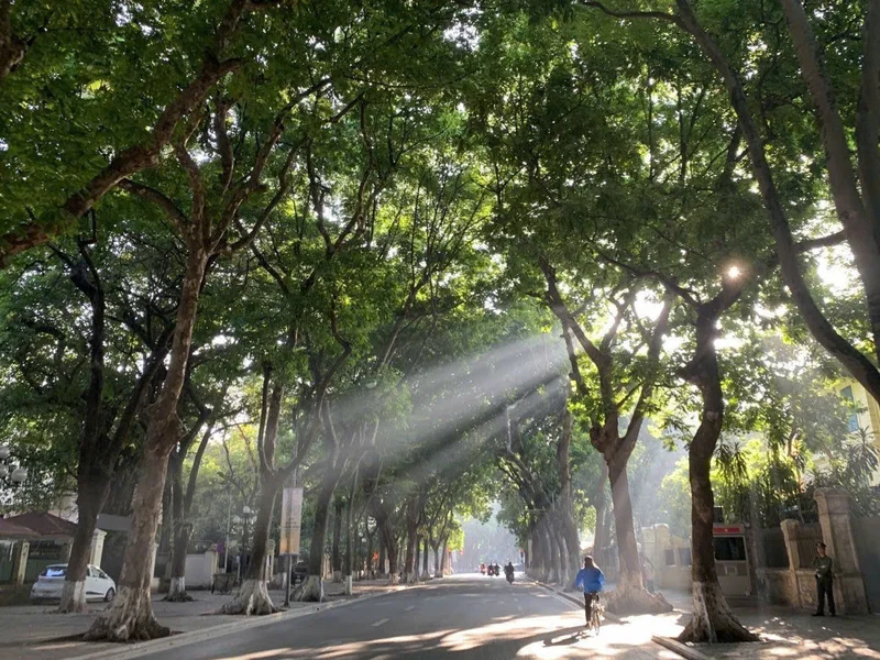 Thời tiết hôm nay 5/9: Bắc Bộ nắng nóng, Trung Bộ và Nam Bộ mưa dông