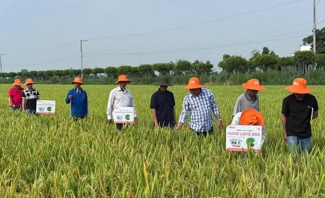 Đổi mới sáng tạo kích hoạt nông nghiệp bứt phá tại Cần Thơ