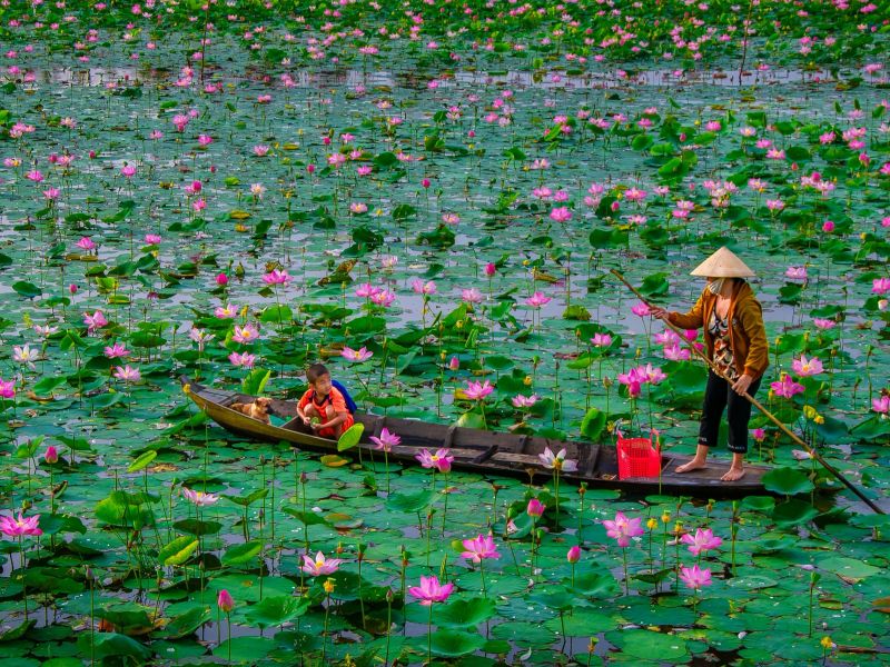Đồng Tháp phát triển kinh tế nông thôn: Động lực từ công nghiệp chế biến và làng nghề