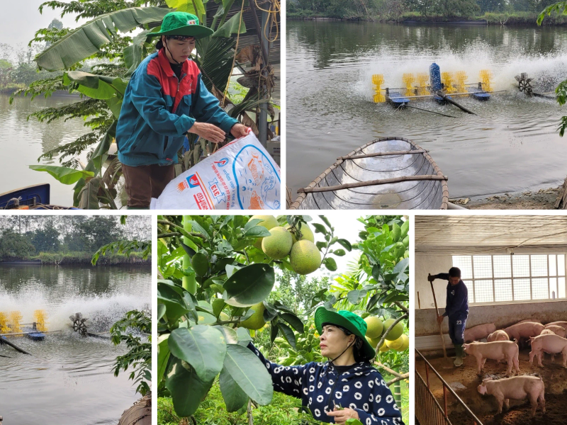 Phát triển công nghiệp nông thôn theo hướng xanh và kinh tế tuần hoàn