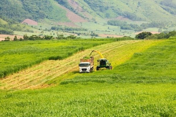 Hướng tới Net Zero: Chuyển đổi từ nông nghiệp đến năng lượng xanh