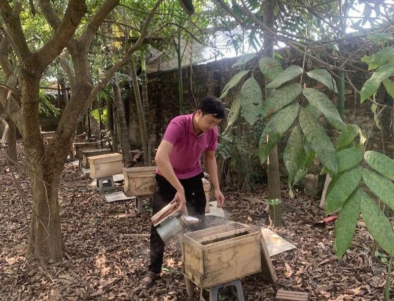 Khẳng định thương hiệu nông sản sạch từ sản phẩm OCOP