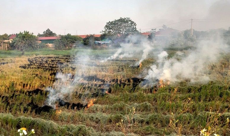 Xử lý hoạt động đốt phế phụ phẩm nông nghiệp ngoài trời gây ô nhiễm không khí