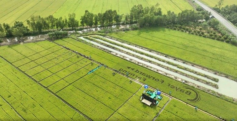 Ngành Trồng trọt bước vào giai đoạn phát triển xanh