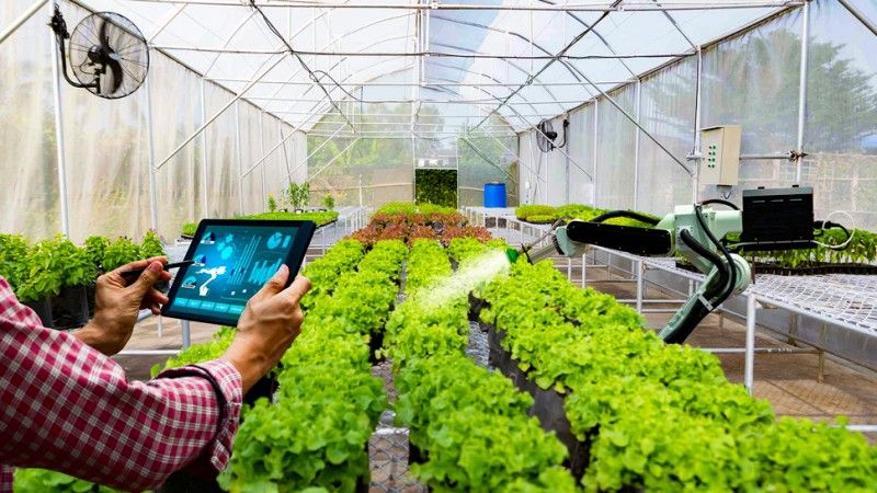 Chuyển đổi số trong nông nghiệp Hà Nội: Hướng đi tất yếu để nâng cao chất lượng và giá trị nông sản