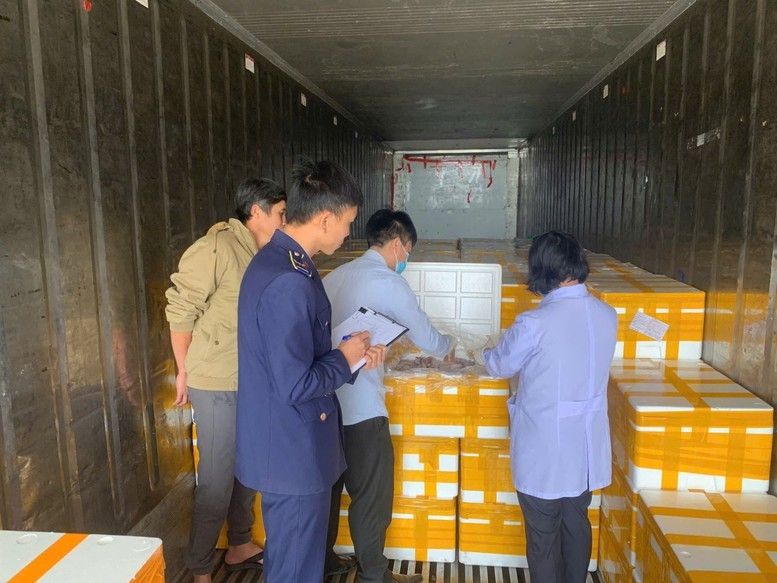 Phát hiện trên 10 tấn cá khoai chứa chất bảo quản cực độc