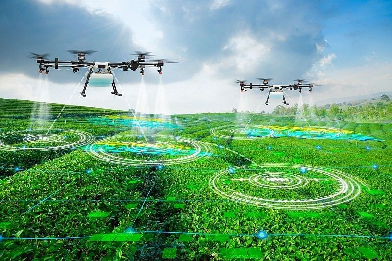 Tự động hóa trong nông nghiệp: Cơ hội và thách thức – tích hợp robot và máy móc trong canh tác