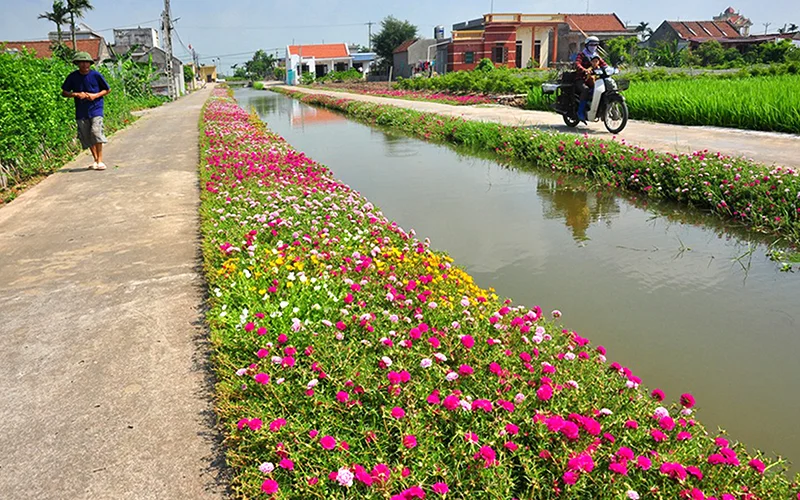 2842021huyen0474798.jpg